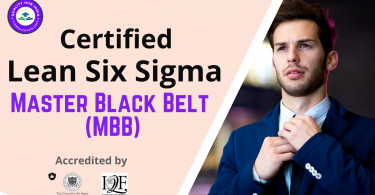 Six Sigma Master Black Belt